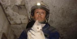 Из вентиляционного плена вызволили котенка магаданские спасатели Пресс-служба ГУ МЧС России по Магаданской области