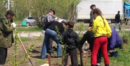 Новые яблони &quotвыросли&quot в одном из скверов Комсомольска-на-Амуре Пресс-служба Комсомольского НПЗ
