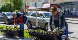 Холодное колымское лето мешает высадить цветы в Магадане Александр Крылов, MagadanMedia