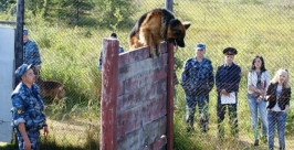 Самую сильную, быструю и послушную собаку определили в колымском УФСИН Пресс-служба УФСИН по Магаданской области