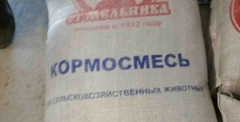 Амбарный долгоносик и короткоусый мукоед проникли в Магадан Пресс-служба Россельхознадзора