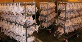 До 500 тонн охлажденного мяса будет производить птицефабрика &quotДукчинская&quot на Колыме Пресс-служба Правительства региона