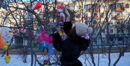 Птенчика – на ветку Мария Золотарева, MagadanMedia