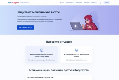 На &quotГосуслугах&quot заработал сервис &quotЗащита от мошенников в сети&quot Источник