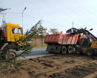 Магаданские озеленители продолжают устраивать и рекультивировать газоны Источник