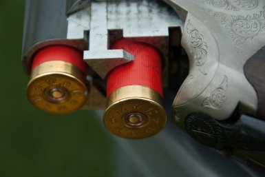 Тематическое фото 