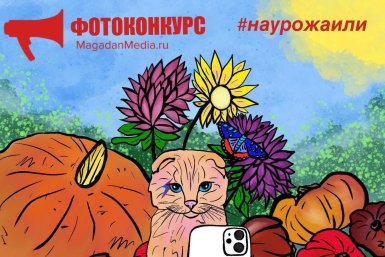 Фотоконкурс &quotРискованное земледелие&quot ИА MagadanMedia