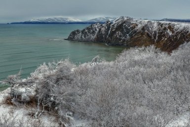 Новость дня
