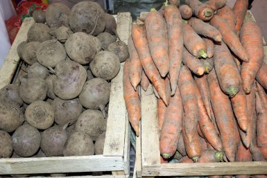 Тематическое фото Правительство Магаданской области