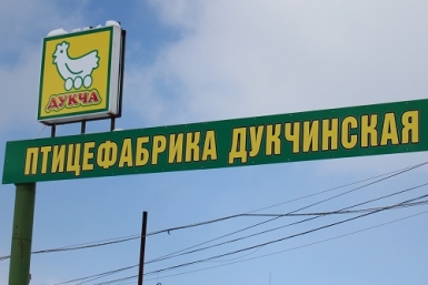 ООО &quotПтицефабрика Дукчинская&quot Юлия Чухломина, ИА MagadanMedia