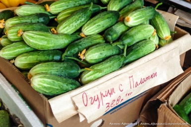 Огурцы из поселка Палатка Антон Афанасьев / anton-afanasev.livejournal.com