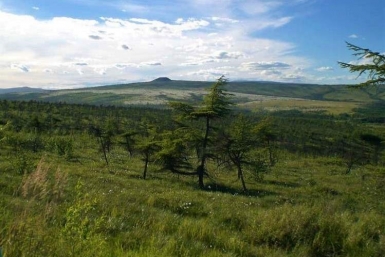 С Ольского округа начнут раздавать бесплатные земли в Магаданской области ИА MagadanMedia
