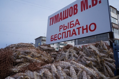 Навага Мария Золотарева, MagadanMedia