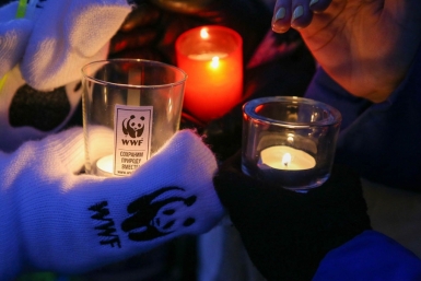 Час Земли 60.wwf.ru