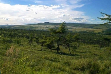 Ольский городской округ ИА MagadanMedia