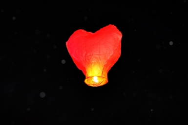 Сердце Оленникова Мария, IrkutskMedia