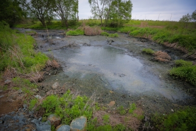 За загрязнение водоема недропользователя привлекли к ответственности Балашов Антон, PrimaMedia