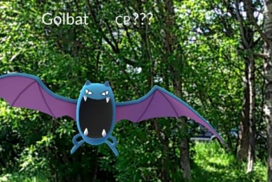 Pokemon GO Социальные сети