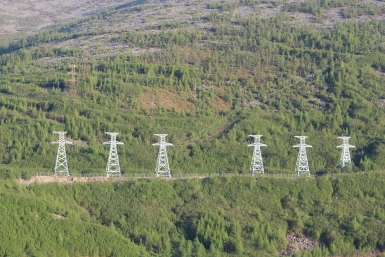 Энерготарифы Юлия Чухломина